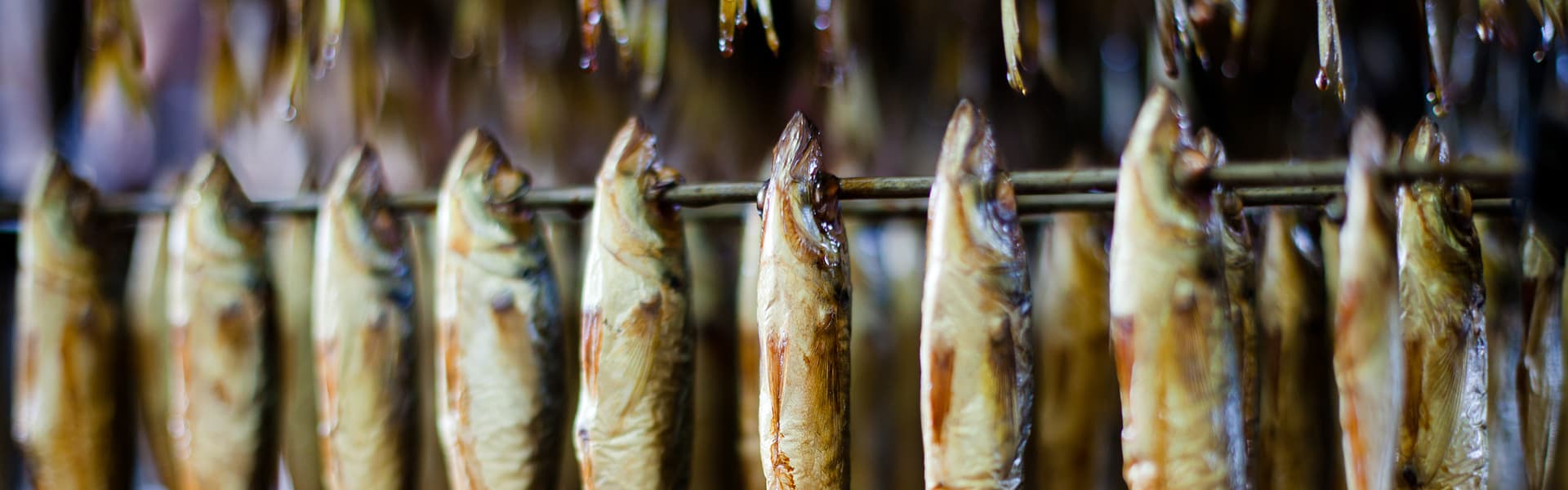 Weine zu Räucherfisch